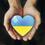 Колтуцька Юлія Степанівна