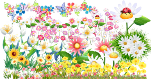 03012x6a-1416-693x363.png