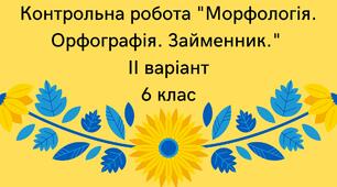 Контрольна робота "Морфологія. Орфографія. Займенник" ІІ варіант