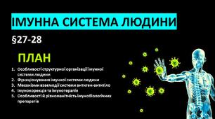 Презентація "Імунна система людини"