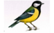 030134py-f32e-78x48.png