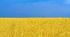 Практичні роботи з природознавства 5 клас