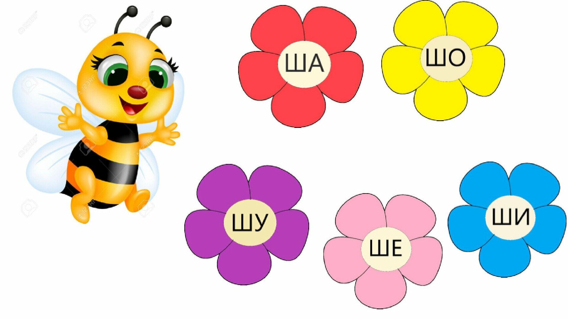 Автоматизація звуку "Ш". Логопедія | Презентація. Логопед