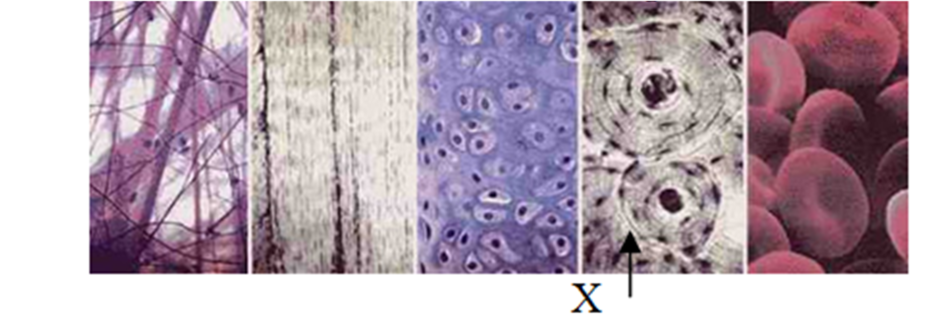 030138ae-5df6-940x319.png