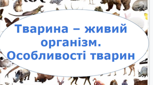 Тварина - живий організм. Особливості тварин.