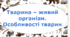 Тварина - живий організм. Особливості тварин.