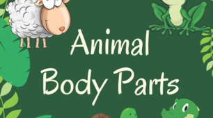Unit 7. Nature and Animals. Lesson 2