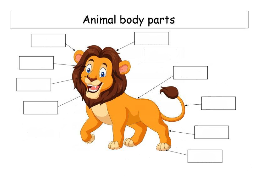 Animal body Parts for Kids. Части тела у животных Flashcard. Английский упражнения animals body Parts Worksheet. Английский упражнения Parts of animal's body.