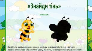 Дидактична гра «Знайди тінь»   (комахи)