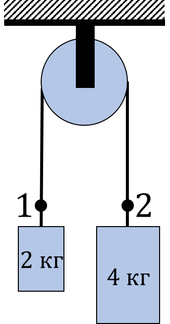 03013f9q-8862-343x652.png
