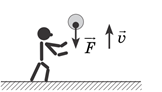 03013fvk-81cc-162x92.png