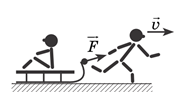 03013fvq-e491-183x92.png