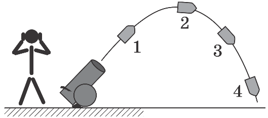 03013fvy-18b8-529x233.png