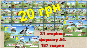 Зооабетка НУШ 1 клас