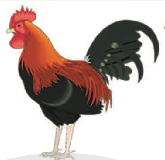03013nkv-f4b9-165x160.png