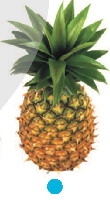 03013nms-1b80-110x200.png