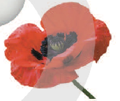 03013nxu-3ba4-172x145.png