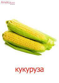 03013o7c-8071-189x267.jpg
