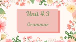 GG1/Unit 4.3. Grammar have got questions and short answers