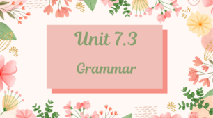 GG1/Unit 7.3. Grammar. Present Simple questions and short answers