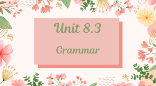 GG1/Unit 8.3. Grammar. Question words