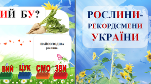 Картки ЛЕГО "Рослини рекордсмени" НУШ 1 клас