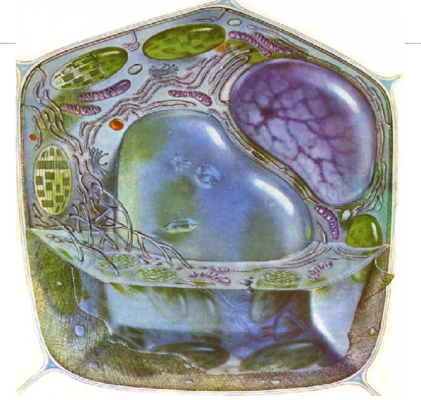03013q6u-6a04-612x582.png