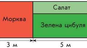 Задачі на знаходження периметра та площі