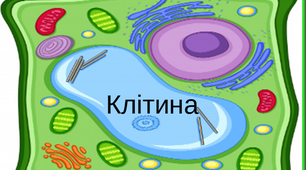 Презентація  циклу уроків з теми "Клітина".