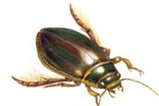 03013y59-9fdf-159x106.png