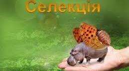 Тест 6. Сучасна селекція. Особливості селекції рослин, тварин і мікроорганізмів. Біотехнологія