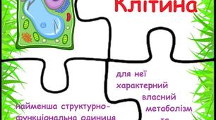 Пазли "Будова рослинної клітини"