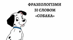 ФРАЗЕОЛОГІЗМИ ЗІ СЛОВОМ "СОБАКА"