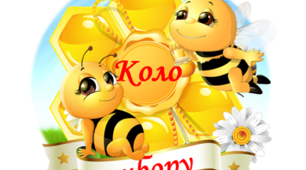 Оформлення класу "Коло вибору"