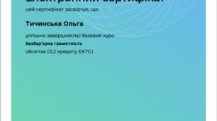 Сертифікат "Безбар`єрна грамотність"