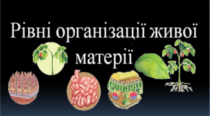 Презентація уроку "Рівні організації живої матерії"