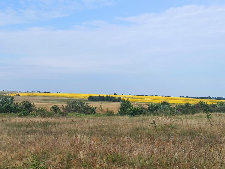 030147uj-7f92-940x706.jpg