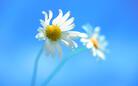030147w9-f717-138x86.jpg