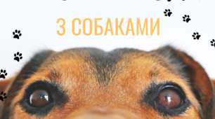 ФРАЗЕОЛОГІЗМИ СОБАКА ФРАЗЕОЛОГІЧНИЙ СЛОВНИК