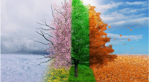 Unit 8. Season, Weather, Clothes. Lesson 2