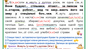 Дидактичні матеріали "Списування. Іменник. Однорідні члени речення".