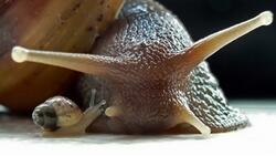 03014bfn-5fe0-250x141.jpg
