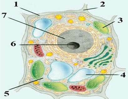 03014bsz-4d7a-409x316.jpg
