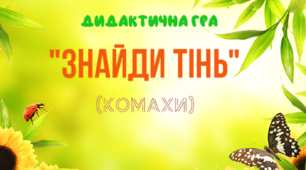 Дидактична гра "Знайди тінь. Комахи"