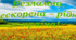 Перший урок "Незламна, нескорена – рідна країна!"