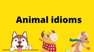 Озвучена ідеопрезентація "Animal idioms"