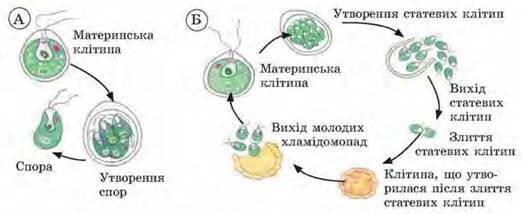 03014gx1-1b8d-650x266.jpg