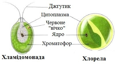 03014gyl-fe1b-600x353.png