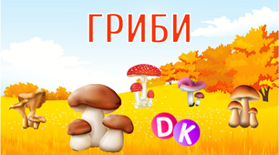 Дидактичний набір "Гриби" (ілюстрації + художнє слово)
