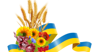 НАВЧАЛЬНА ПРОГРАМА "Технології" 5 клас НУШ